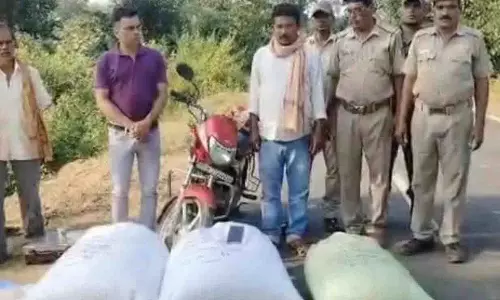 ओडिशा में छापेमारी के दौरान 70 किलोग्राम गांजा जब्त, एक गिरफ्तार