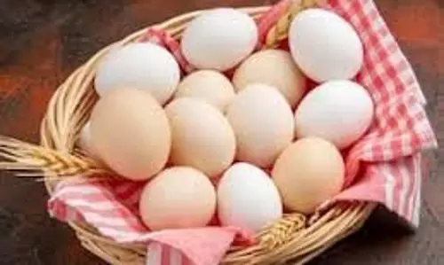 एक महीने तक रोज़ाना Egg खाने से शरीर में होंगे ये 5 बदलाव
