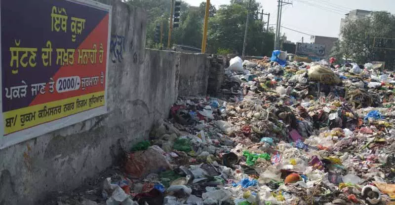 Ludhiana: कचरा संकट, नागरिक कार्रवाई के बावजूद निवासी खुले क्षेत्रों में कचरा फेंकना जारी रखे हुए Ludhiana: कचरा संकट, नागरिक कार्रवाई के बावजूद निवासी खुले क्षेत्रों में कचरा फेंकना जारी रखे हुए