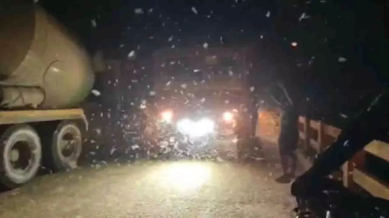 Jajpur पुल पर कीड़ों के झुंड ने यातायात बाधित किया, अफरा-तफरी मची Jajpur पुल पर कीड़ों के झुंड ने यातायात बाधित किया, अफरा-तफरी मची