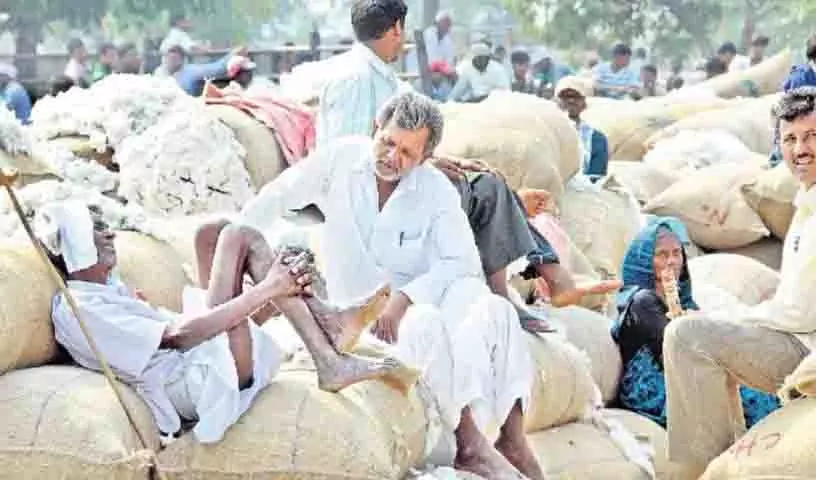 कपास किसानों ने CCI नियम और ऐप की गड़बड़ियों पर जताया विरोध कपास किसानों ने CCI नियम और ऐप की गड़बड़ियों पर जताया विरोध