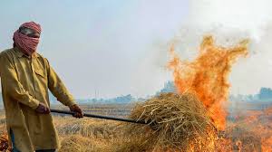 Punjab के इन किसानों ने पर्यावरण-अनुकूल मिसाल कायम की , पराली की समस्या के बीच
