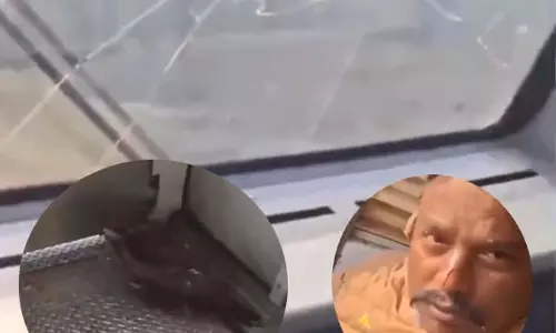 चील टकराने से ट्रेन का लोको पायलट घायल Video, चेहरे में आई चोंट