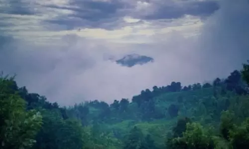 तमिलनाडु ने नीलगिरी में प्लास्टिक की बोतलों पर रोक लगाने के लिए कड़ी की जांच