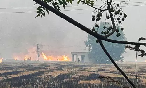 CAQM ने मुक्तसर और फाजिल्का में खेतों में लगी आग पर चिंता जताई CAQM ने मुक्तसर और फाजिल्का में खेतों में लगी आग पर चिंता जताई