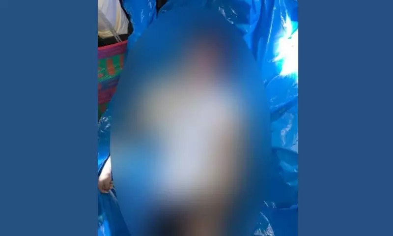 Assam:  NIT सिलचर के तीन छात्र दीमा हसाओ झरने में डूबे, एक का शव बरामद