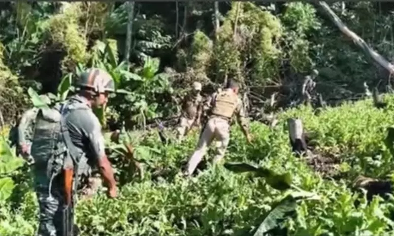 Manipur: सुरक्षा बलों ने कांगपोकपी में 5 एकड़ अफीम के खेत नष्ट किए
