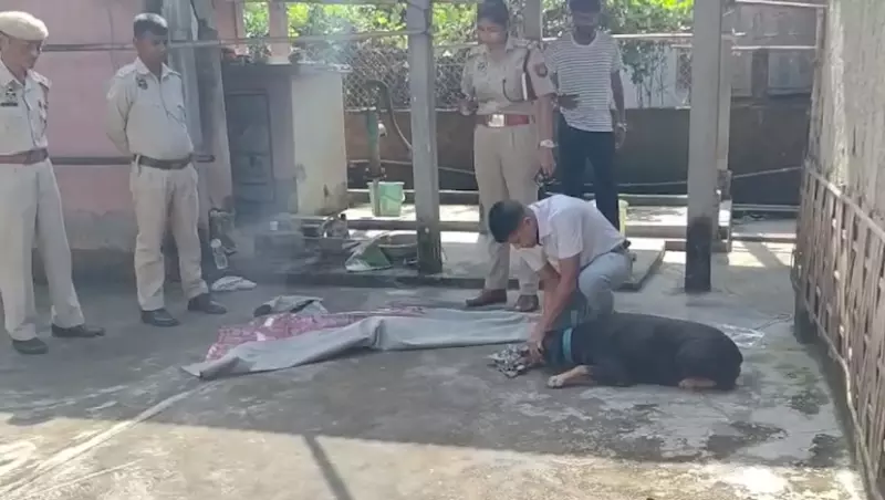 Assam: नागांव में बुजुर्ग दंपति पर हमला, केयरटेकर ने लूटपाट की