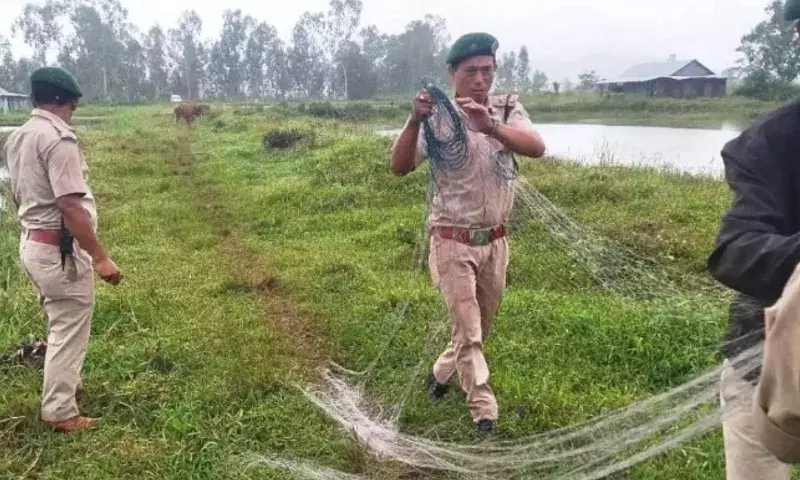 Manipur वन विभाग की कार्रवाई, लोकतक झील से 16 पक्षी जाल जब्त