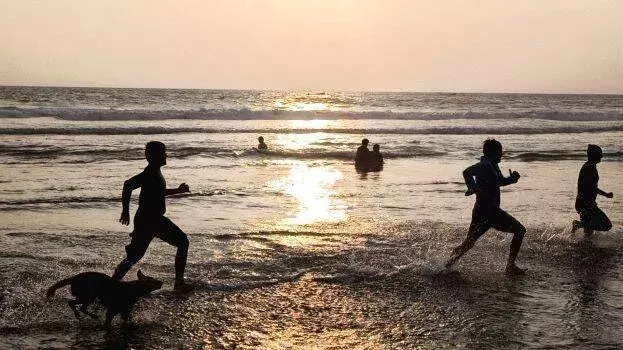 kerala: कोवलम बीच पर आवारा कुत्ते ने रूसी पर्यटक पर हमला किया