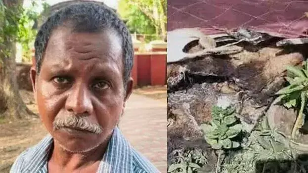 kerala: पत्नी की हत्या के आरोपी को अदालत ने सुनाई आजीवन कारावास की सजा