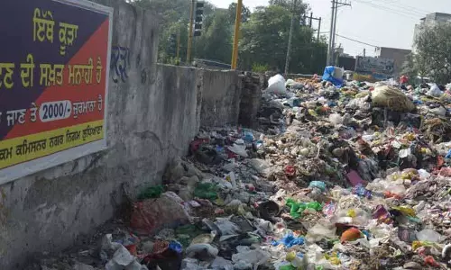 Ludhiana: कचरा संकट, नागरिक कार्रवाई के बावजूद निवासी खुले क्षेत्रों में कचरा फेंकना जारी रखे हुए