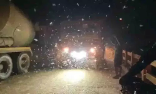 Jajpur पुल पर कीड़ों के झुंड ने यातायात बाधित किया, अफरा-तफरी मची Jajpur पुल पर कीड़ों के झुंड ने यातायात बाधित किया, अफरा-तफरी मची