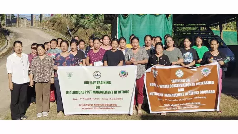 Nagaland केवीके मोकोकचुंग सालुलेमांग में साइट्रस पर प्रशिक्षण आयोजित करता है