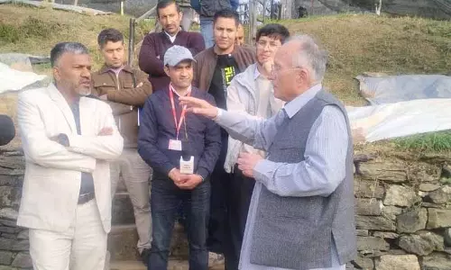 Kotgarh में अब सेब का राज नहीं रहा Kotgarh में अब सेब का राज नहीं रहा