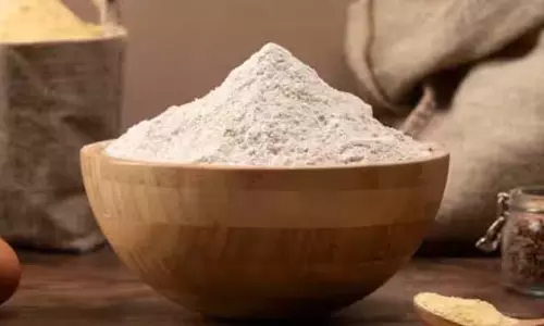 घर पर स्टोर करें Wheat का आटा, बिना कीड़े और सीलन के रखें ताजा