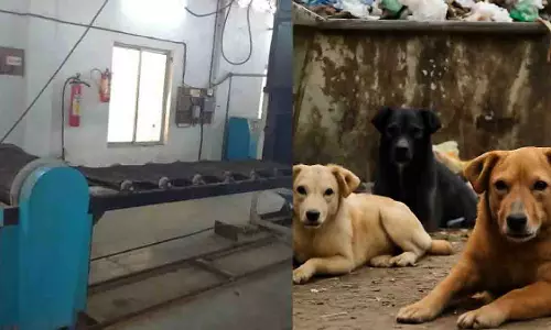 निवासियों की मांग पर पहला पशु श्मशान गृह जल्द होगा तैयार