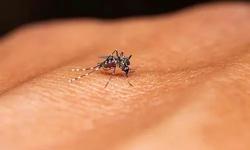 बंगाल में Dengue के मामले बढ़े, उत्तर 24 परगना फिर सबसे ऊपर बंगाल में Dengue के मामले बढ़े, उत्तर 24 परगना फिर सबसे ऊपर