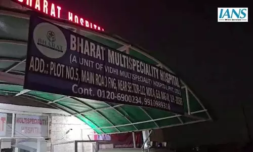 बुद्ध मूर्ति ब्रिज पर घोड़े (हाथी) हादसा, एक की मौत, दर्जन भर घायल