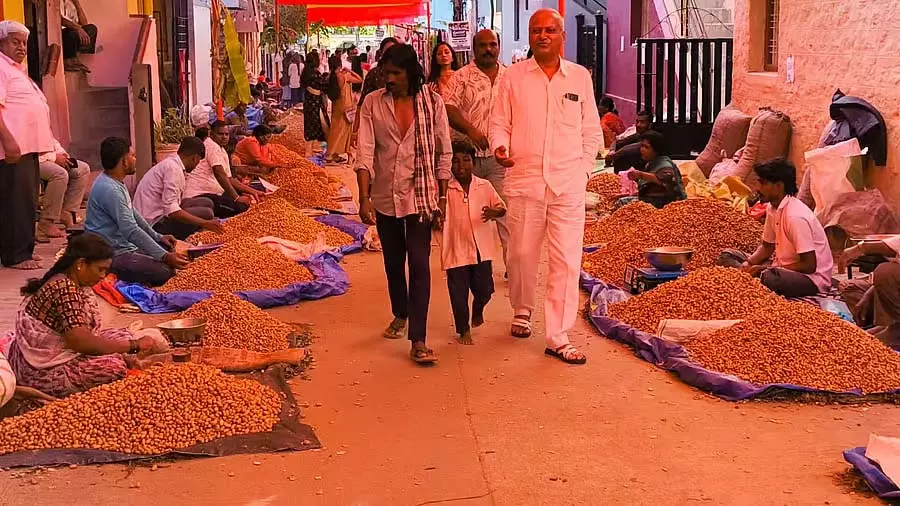 Karnataka : दो-दिवसीय मूंगफली उत्सव बड़े उत्साह के साथ मनाया गया Karnataka : दो-दिवसीय मूंगफली उत्सव बड़े उत्साह के साथ मनाया गया