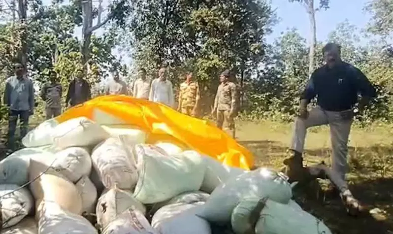 हीरो स्टाईल में SDM ने धान के अवैध परिवहन पर फेरा पानी, इतना ही नहीं डायलॉग भी मारा हीरो स्टाईल में SDM ने धान के अवैध परिवहन पर फेरा पानी, इतना ही नहीं डायलॉग भी मारा