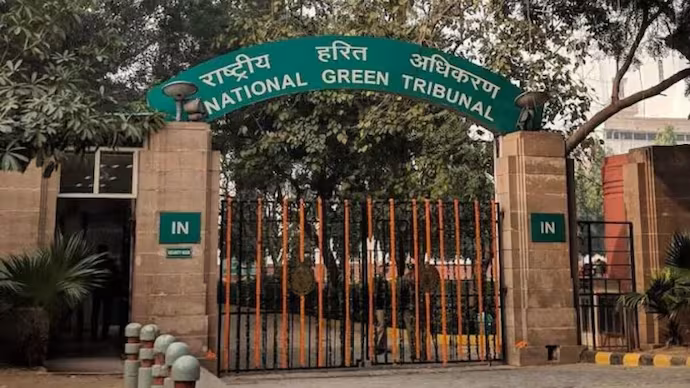 Umaria: नेशनल ग्रीन ट्रिब्यूनल के आदेश पर कार्रवाई में हुई लंबी देरी Umaria: नेशनल ग्रीन ट्रिब्यूनल के आदेश पर कार्रवाई में हुई लंबी देरी