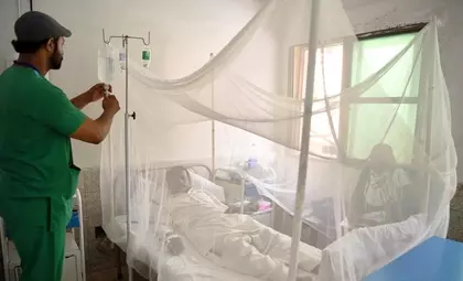 Pakistan: सिंध में डेंगू से एक और मौत, आधिकारिक संख्या 26 हुई Pakistan: सिंध में डेंगू से एक और मौत, आधिकारिक संख्या 26 हुई