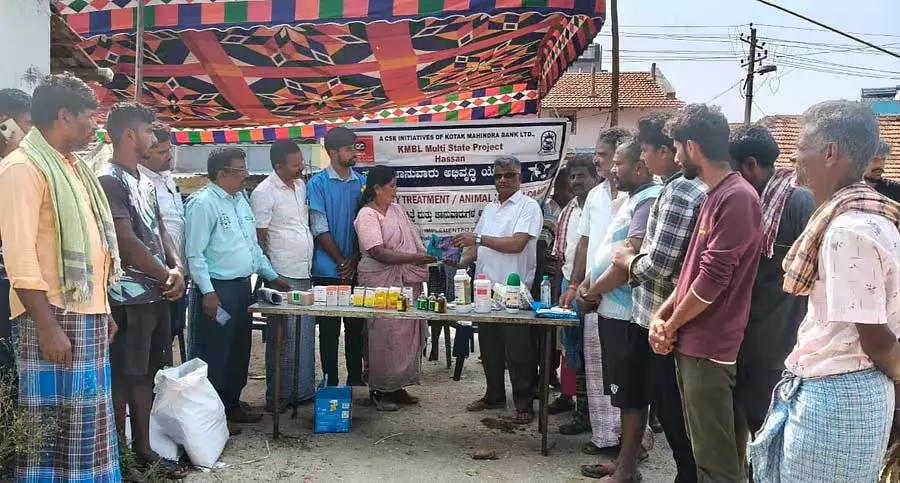 डेयरी फार्मिंग प्रशिक्षण शिविर: मुफ्त दवा वितरण डेयरी फार्मिंग प्रशिक्षण शिविर: मुफ्त दवा वितरण