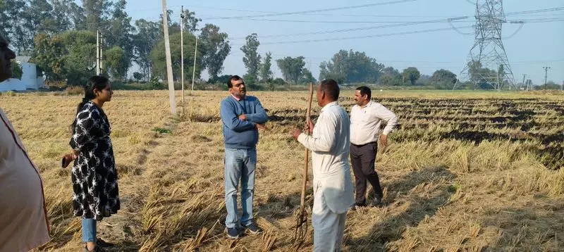 Hisar में पराली जलाने पर 10 किसानों पर 50,000 रुपये का जुर्माना Hisar में पराली जलाने पर 10 किसानों पर 50,000 रुपये का जुर्माना