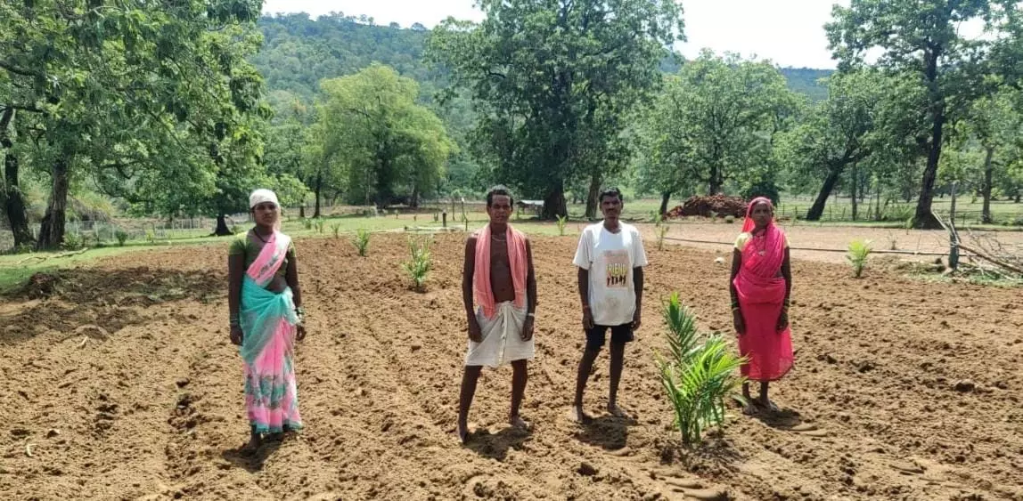 बंदूक की गूंज से फलों और फूलों की महक तक का सफर बंदूक की गूंज से फलों और फूलों की महक तक का सफर