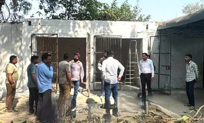 एमसी Yamunanagar , जगाधरी में आवारा कुत्तों की नसबंदी और टीकाकरण करेगी एमसी Yamunanagar , जगाधरी में आवारा कुत्तों की नसबंदी और टीकाकरण करेगी
