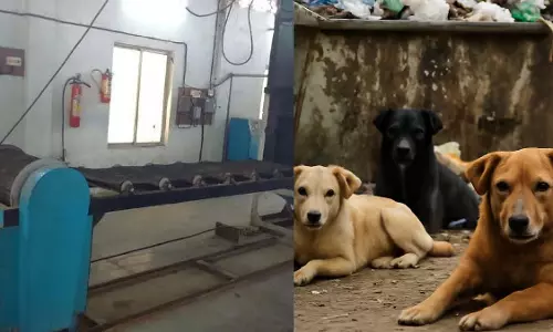 Maharashtra : निवासियों की सालों पुरानी मांग के बाद पहला एनिमल क्रेमेटोरियम पूरा होने वाला है