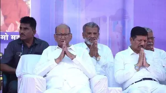 Pawar ने नगर निकाय चुनावों के लिए शर्तें तय कीं, कहा- भाजपा से कोई गठबंधन नहीं Pawar ने नगर निकाय चुनावों के लिए शर्तें तय कीं, कहा- भाजपा से कोई गठबंधन नहीं