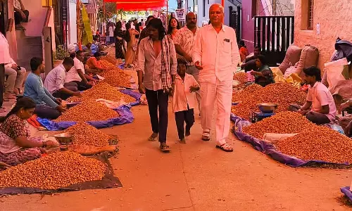 Karnataka : दो-दिवसीय मूंगफली उत्सव बड़े उत्साह के साथ मनाया गया Karnataka : दो-दिवसीय मूंगफली उत्सव बड़े उत्साह के साथ मनाया गया