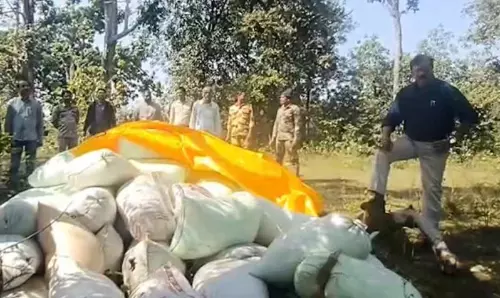 हीरो स्टाईल में SDM ने धान के अवैध परिवहन पर फेरा पानी, इतना ही नहीं डायलॉग भी मारा हीरो स्टाईल में SDM ने धान के अवैध परिवहन पर फेरा पानी, इतना ही नहीं डायलॉग भी मारा