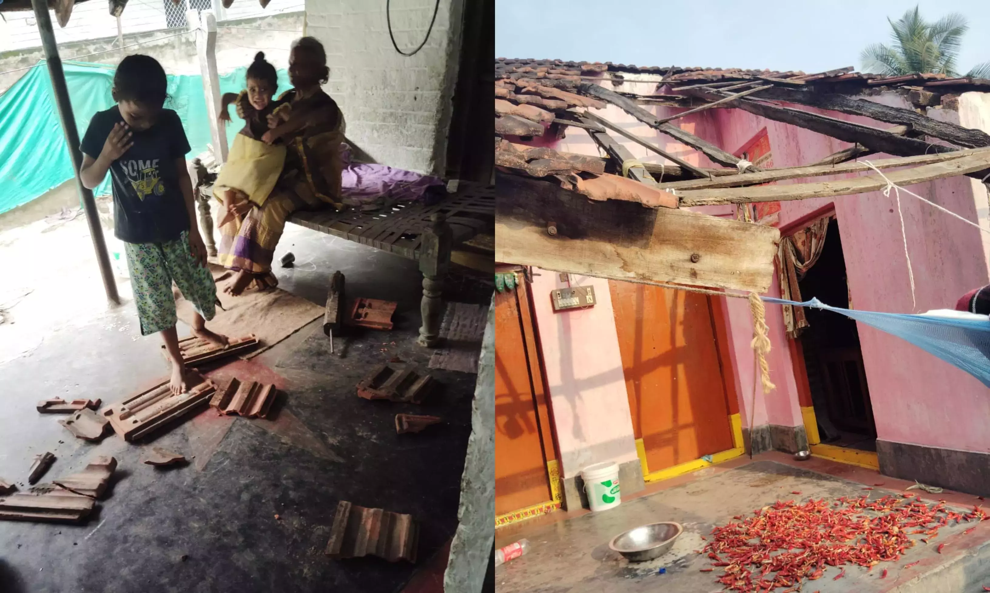 KSEZ के कारण निर्जन रह गए गांवों में जंगली जानवर घुस रहे हैं KSEZ के कारण निर्जन रह गए गांवों में जंगली जानवर घुस रहे हैं