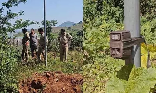 सुनाबेड़ा में बाघ का डर, चार ट्रैप कैमरे लगाए गए