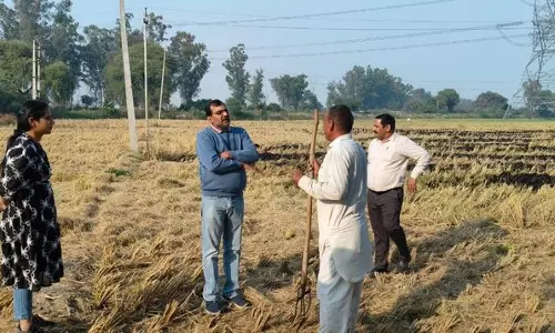 Hisar में पराली जलाने पर 10 किसानों पर 50,000 रुपये का जुर्माना