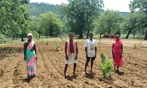 बंदूक की गूंज से फलों और फूलों की महक तक का सफर बंदूक की गूंज से फलों और फूलों की महक तक का सफर