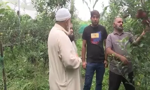 जम्मू-कश्मीर: Rajouri के किसान पारंपरिक अनाज से फलों की खेती की ओर बढ़ रहे