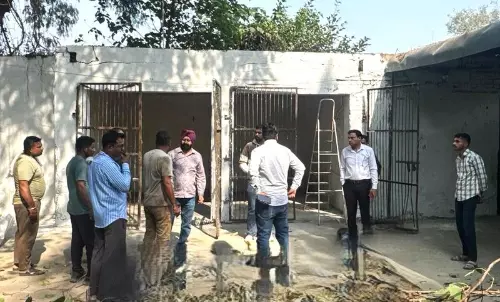 एमसी Yamunanagar , जगाधरी में आवारा कुत्तों की नसबंदी और टीकाकरण करेगी एमसी Yamunanagar , जगाधरी में आवारा कुत्तों की नसबंदी और टीकाकरण करेगी