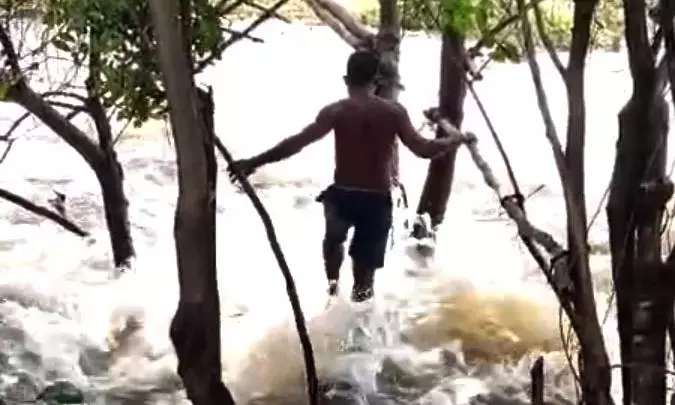 Andhra Pradesh के तीन गांवों के निवासी अस्थायी लकड़ी के पुल के सहारे नदी पार करने के लिए Andhra Pradesh के तीन गांवों के निवासी अस्थायी लकड़ी के पुल के सहारे नदी पार करने के लिए