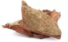 Health: जानिए अर्जुन की छाल के 5 फायदे, इन बीमारियों से मिल सकता है छुटकारा Health: जानिए अर्जुन की छाल के 5 फायदे, इन बीमारियों से मिल सकता है छुटकारा