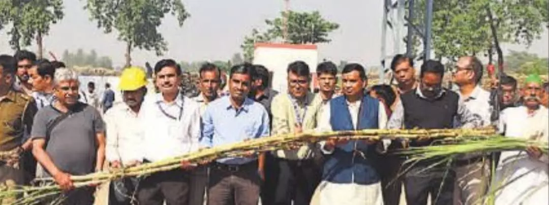 Bareilly: नए सत्र के साथ द्वारकेश मिल में उत्पादन शुरू Bareilly: नए सत्र के साथ द्वारकेश मिल में उत्पादन शुरू