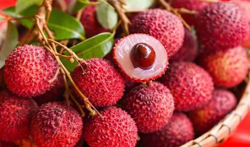 क्या आपने कभी लीची फल खाया है, इसके कई अद्भुत स्वास्थ्य लाभ हैं? क्या आपने कभी लीची फल खाया है, इसके कई अद्भुत स्वास्थ्य लाभ हैं?