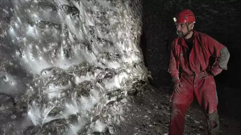 दुनिया के सबसे बड़े मकड़ी के जाल वाली गुफा के अंदर दुनिया के सबसे बड़े मकड़ी के जाल वाली गुफा के अंदर
