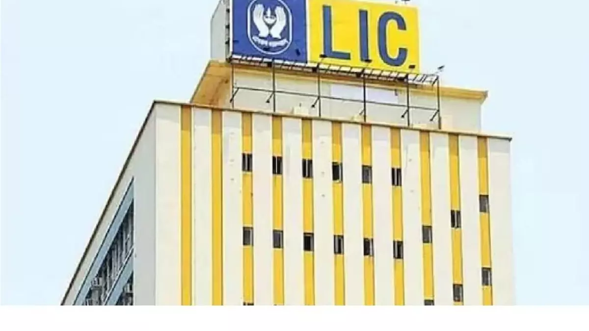 New Delhi: 10,000 करोड़ का मुनाफा कमाई LIC की, जानिए निवेश के प्रमुख क्षेत्र New Delhi: 10,000 करोड़ का मुनाफा कमाई LIC की, जानिए निवेश के प्रमुख क्षेत्र