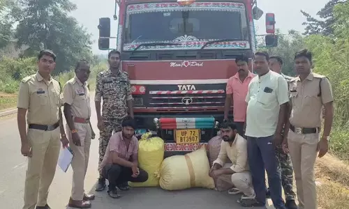 महासमुंद में UP की ट्रक की चेकिंग, 12 लाख का गांजा जब्त महासमुंद में UP की ट्रक की चेकिंग, 12 लाख का गांजा जब्त