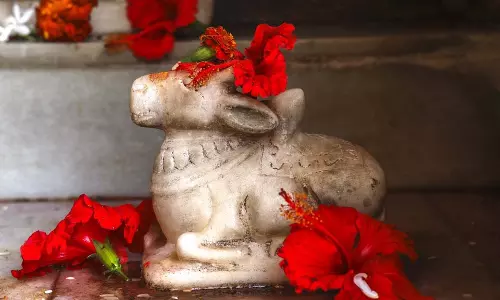 Religion: शिवालयों में नंदी के कान में क्यों फुसफसाते हैं लोग, क्या है इसके पीछे की धार्मिक मान्यताएं Religion: शिवालयों में नंदी के कान में क्यों फुसफसाते हैं लोग, क्या है इसके पीछे की धार्मिक मान्यताएं