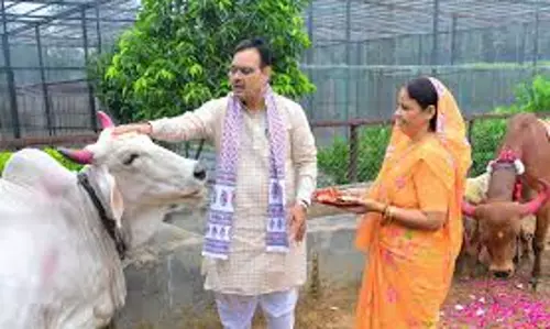 Jaipur: भजनलाल सरकार के गौवंश संरक्षण प्रयासों की सराहना